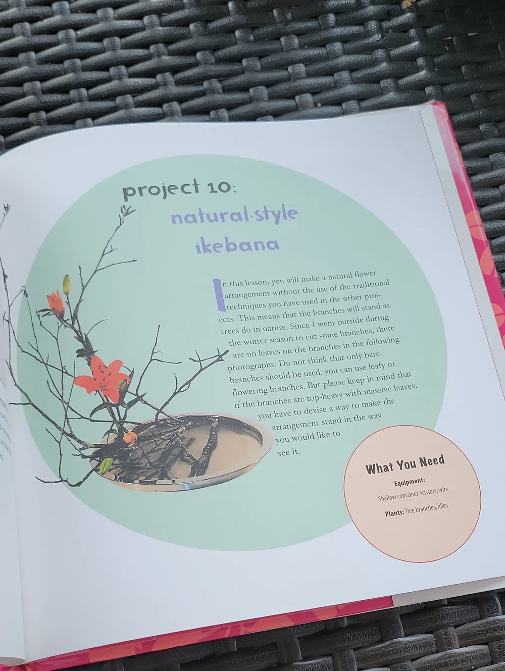 Ikebana: Asian Arts & Crafts For Creative Kids By Shozo Sato